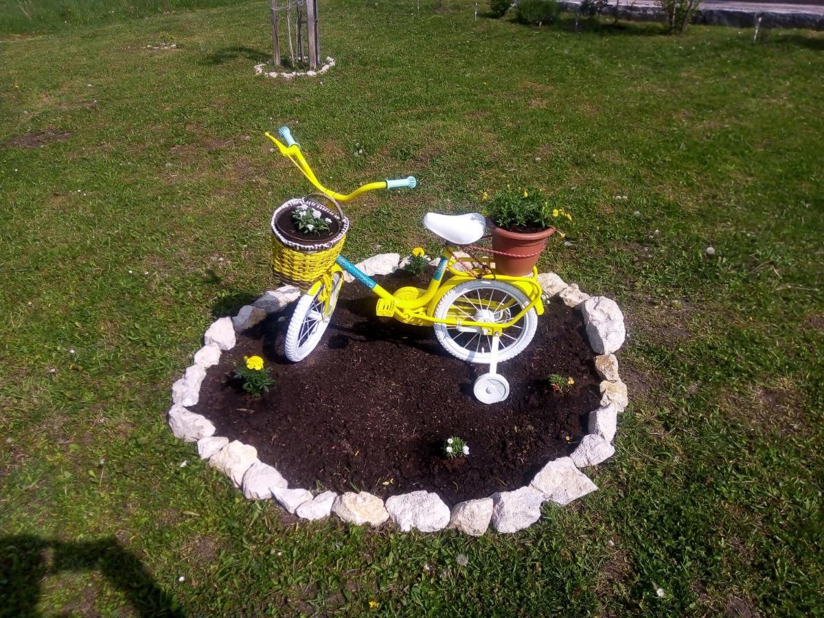 Yellow Rose Раковица Екстериор снимка