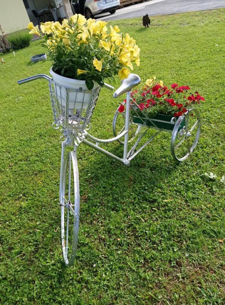 Yellow Rose Раковица Екстериор снимка